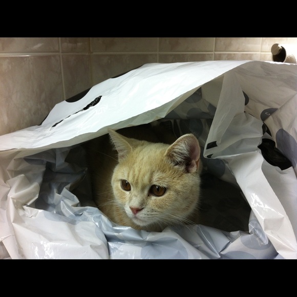 Meet your Posher, Juliya - Picture 2 of 3